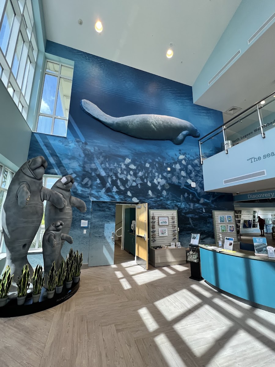 Manatee Lagoon