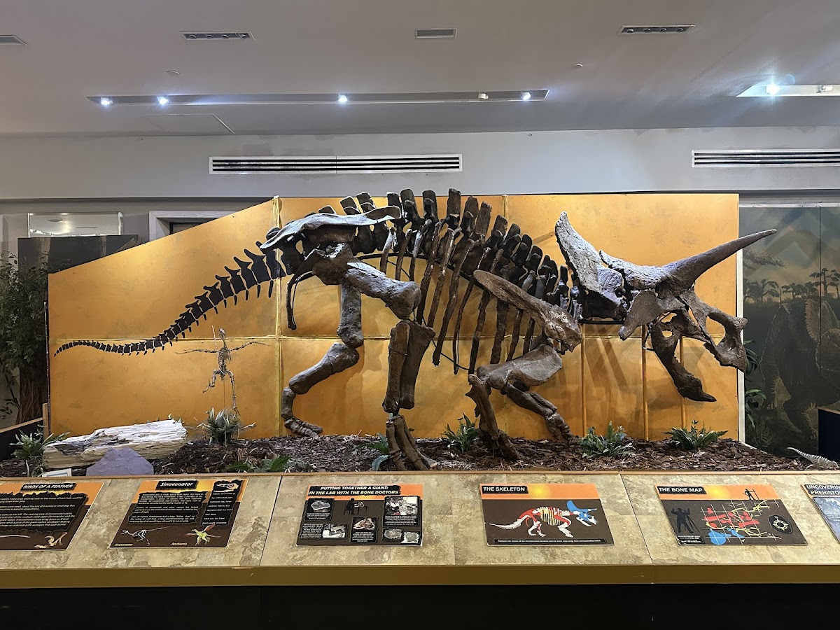 The Palm Beach Museum of Natural History