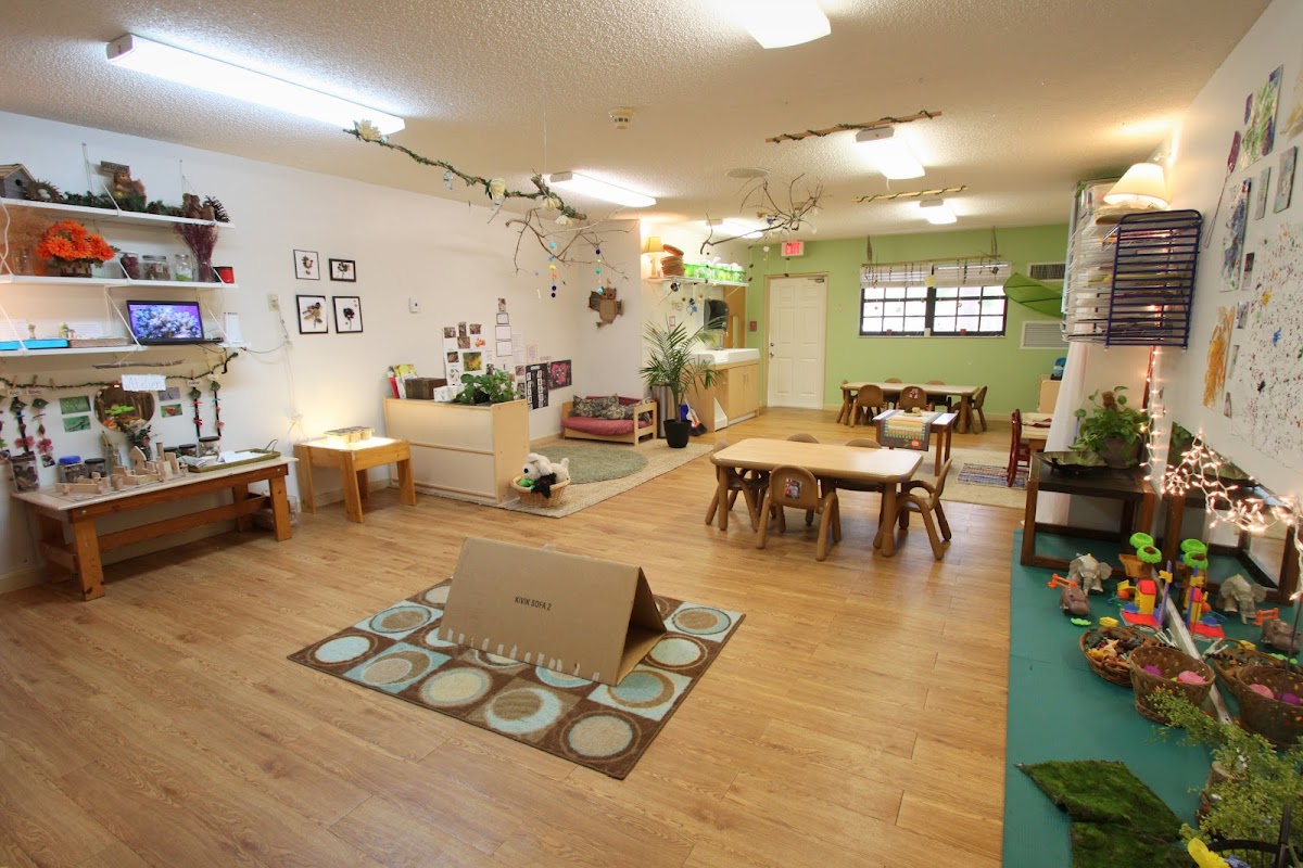 Tree Top Academy